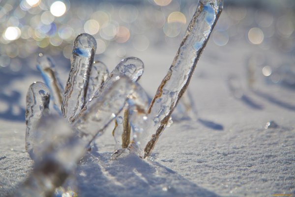 Макросъемка природа зима