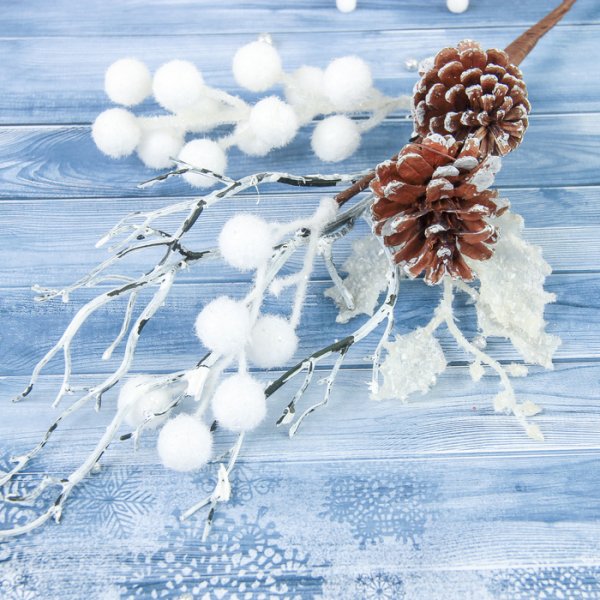 Зимняя веточка с шишками