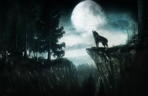 Волк мрачный лес