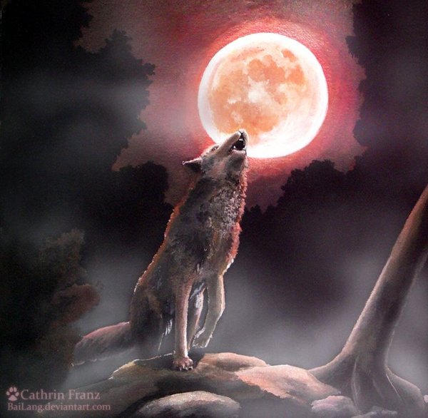 Оборотень воет на луну