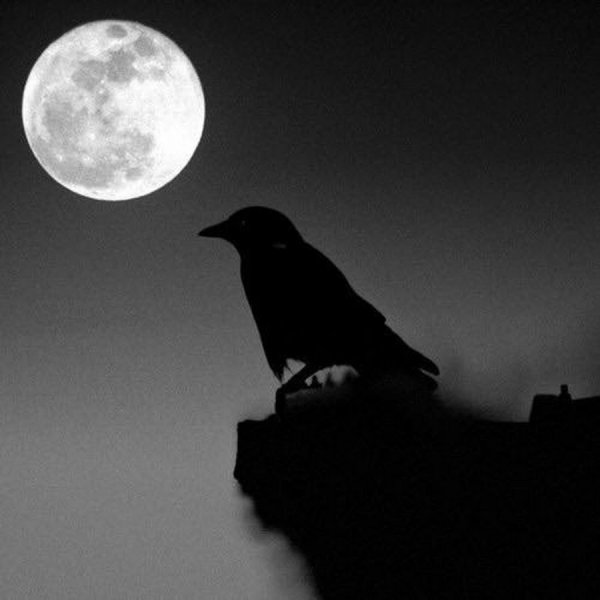 Вороны Луна