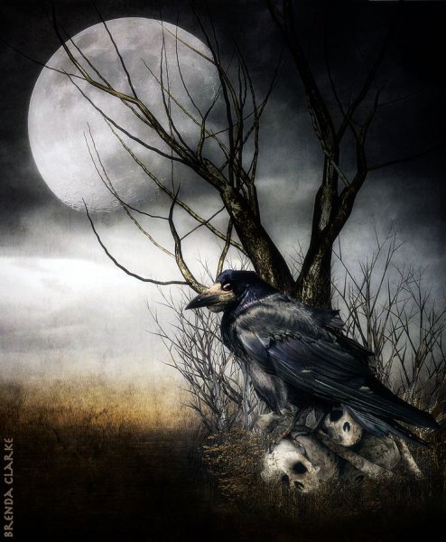 Ворон и Луна