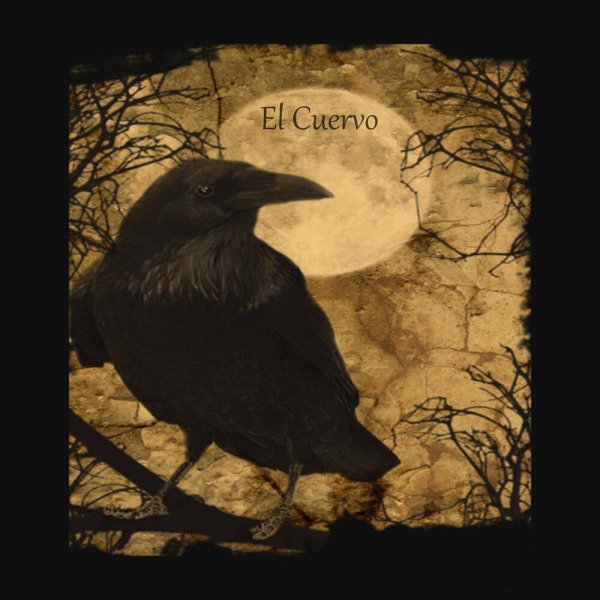 Ворон с глазом в клюве