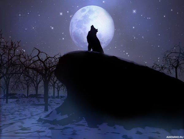 Ночь Луна одиночество