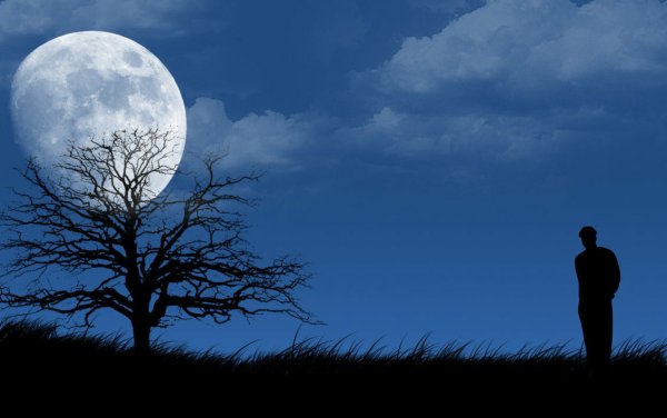 Человек под луной