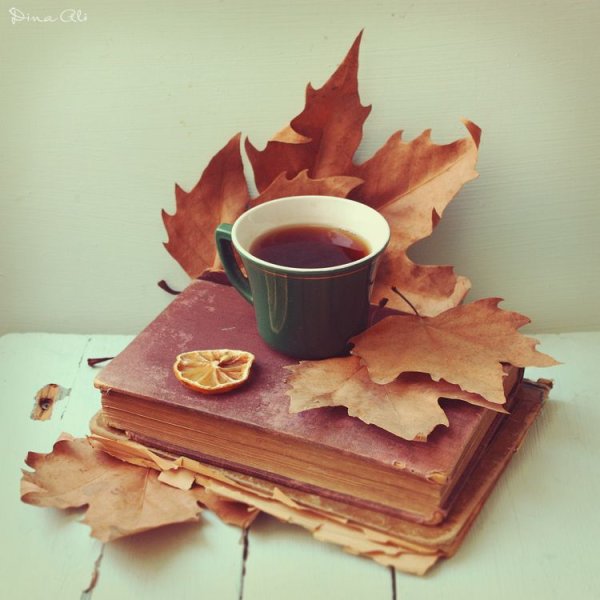 Доброе утро осень