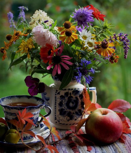 Утро осень цветы