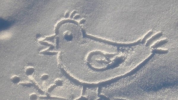 Рисование на снегу