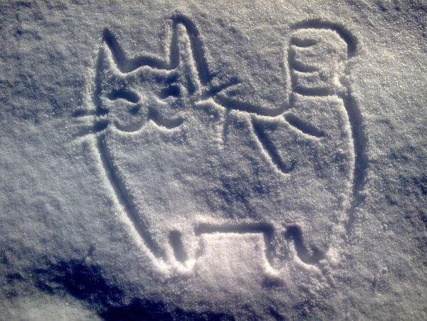 Надпись на снегу