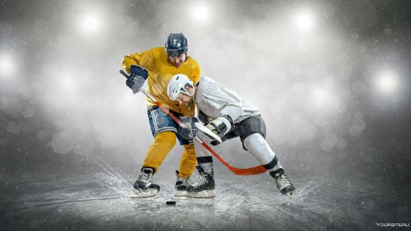 Два хоккеиста на льду