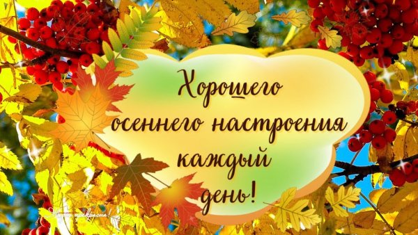 Доброго осеннего дня и хорошего натроен