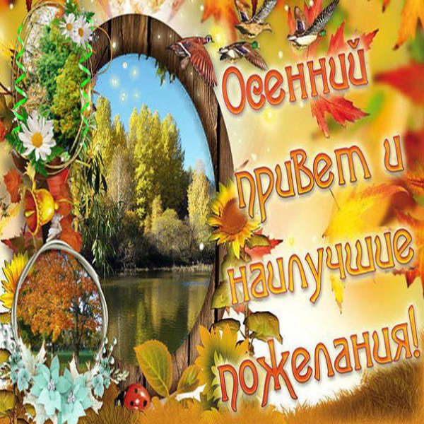 Осенние открытки с пожеланиями