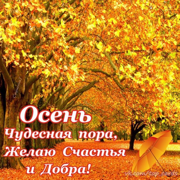 Осень чудесная пора