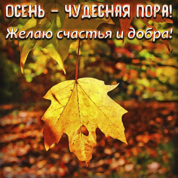Цитаты про осень