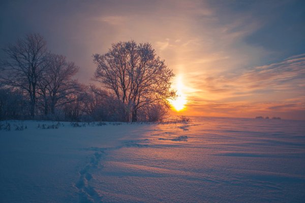 Зимний рассвет