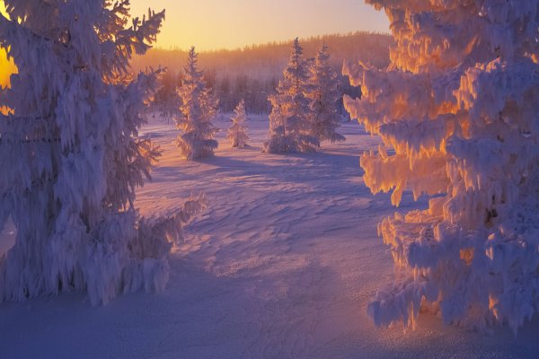 Рассвет зимой