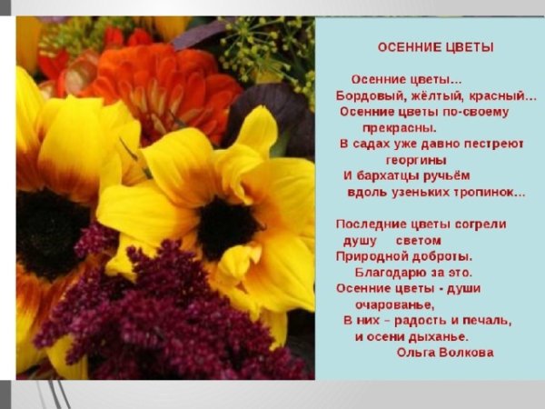 Красивые стихи о цветах