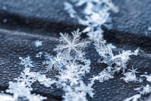 FICCI, Snowflake - you Shine feat Snowflake