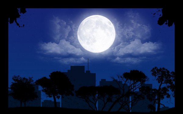 Ночь Луна
