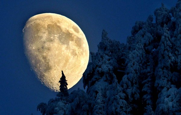 Снежная Луна полнолуние