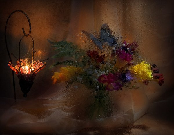 Елена Брежицкая фотограф