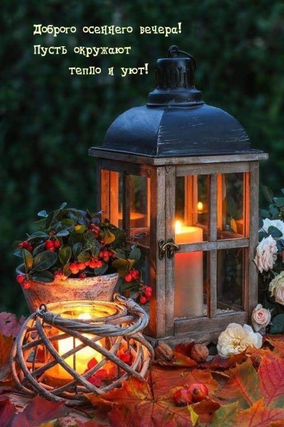 Уютный сад с фонариками