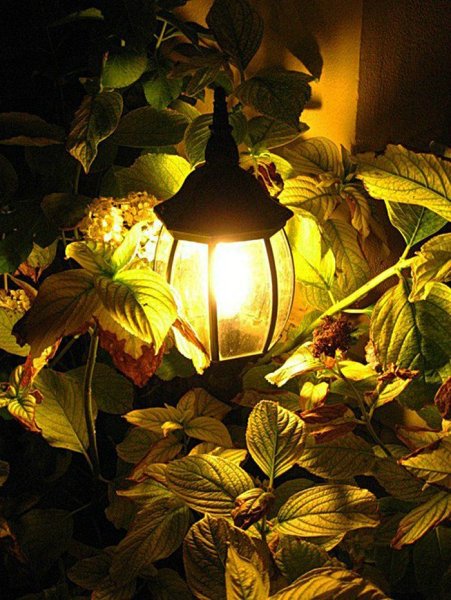 Осенний фонарик