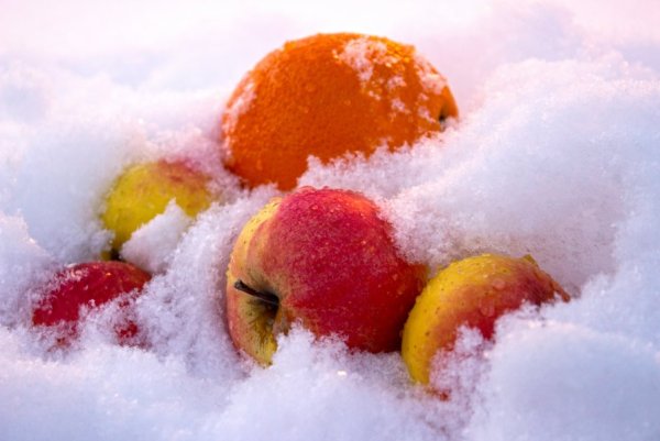 Фрукты в снегу