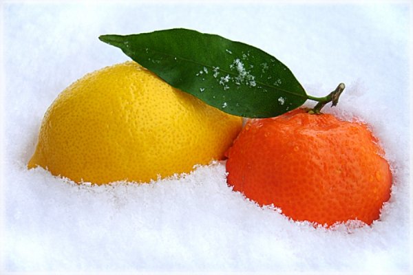 Заснеженные фрукты