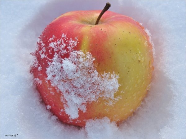 Фрукты в снегу