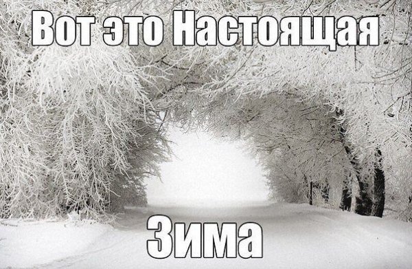 Наконец пришла зима