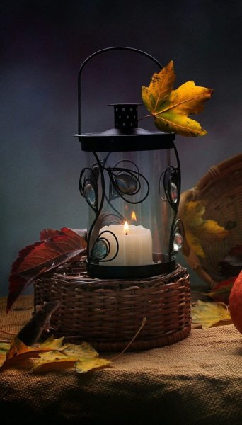 Спокойной о енней ночи