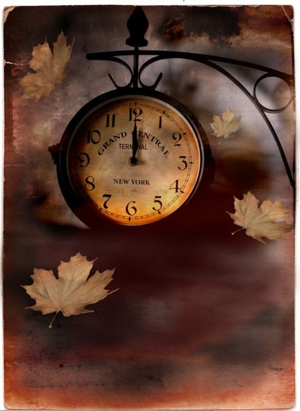 Спокойной доброй ночи осенний