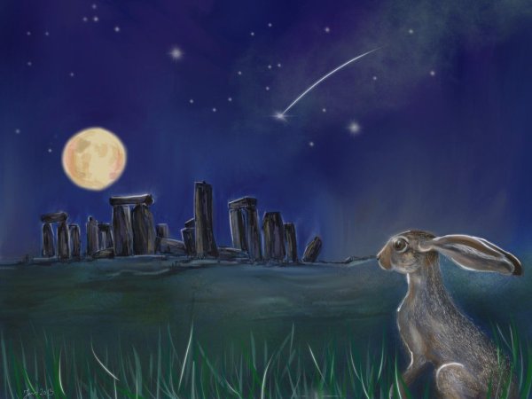 Лунный заяц арт