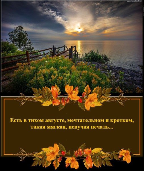 Доброго августовского вечера