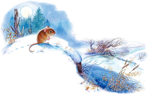 В. Бианки мышка пик