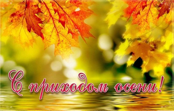 Осенний баннер