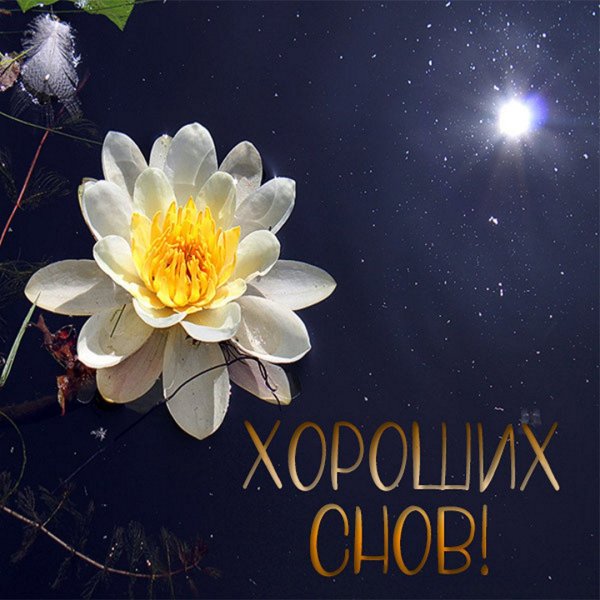 Пожелания спокойной ночи осенние и красивые