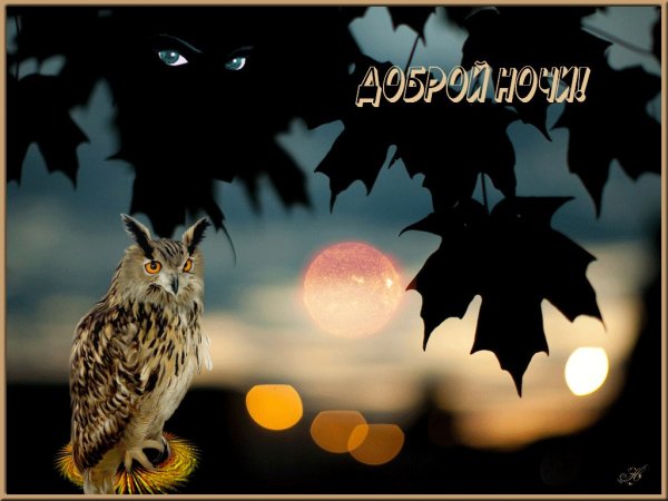 Спокойной ночи осень
