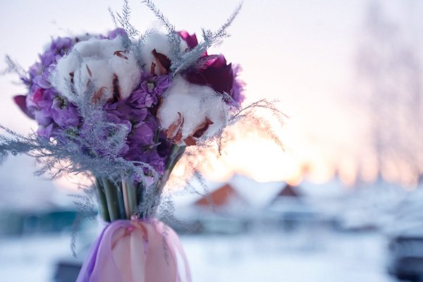 Нежные зимние цветы