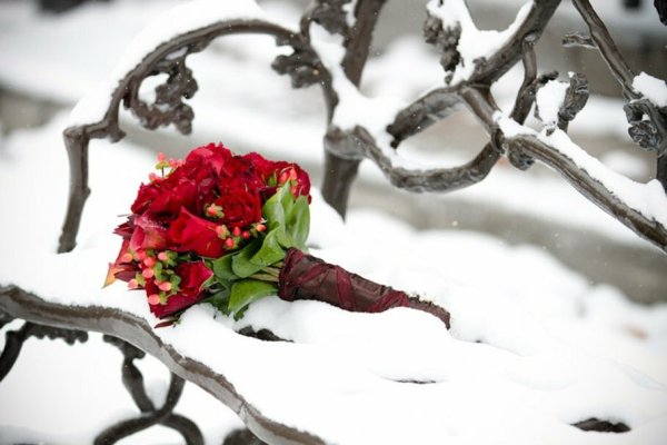 Зимний букет цветов на снегу