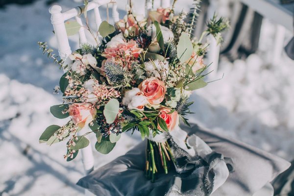 Нежные зимние цветы