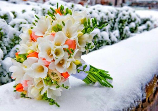 Цветы зимой