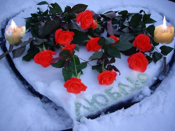 Букет роз на снегу