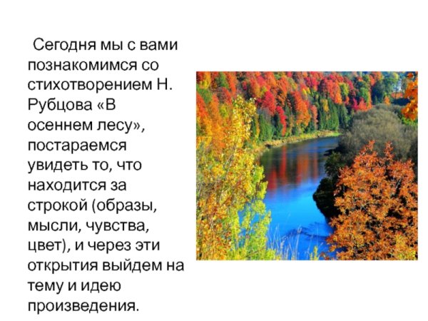 Николай рубцов в осеннем лесу стих