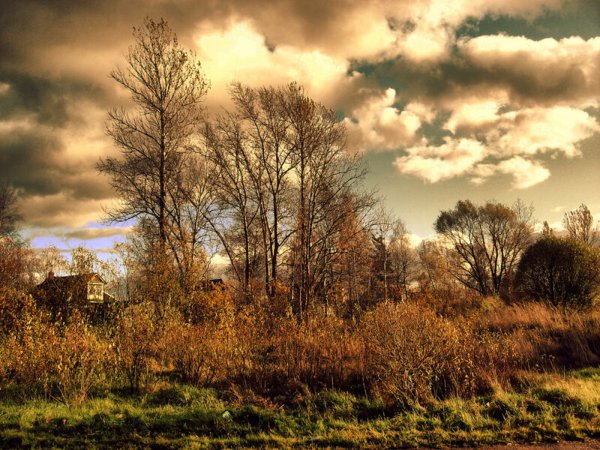 Поздняя осень Фет