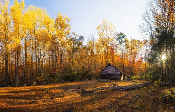 Николай рубцов осенний лес пейзаж