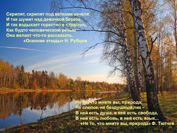 Стихи н.Рубцова в осеннем лесу