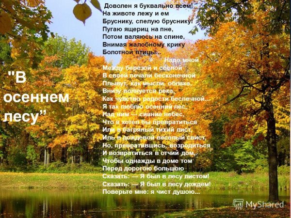 Н.М.рубцов в осеннем лесу