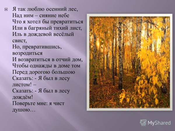 Николай рубцов я так люблю осенний лес